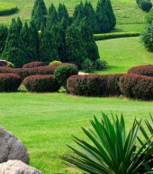 Etiam dictum egestas