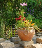 Lorem ipsum dolor sit