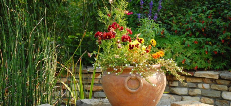 Lorem ipsum dolor sit